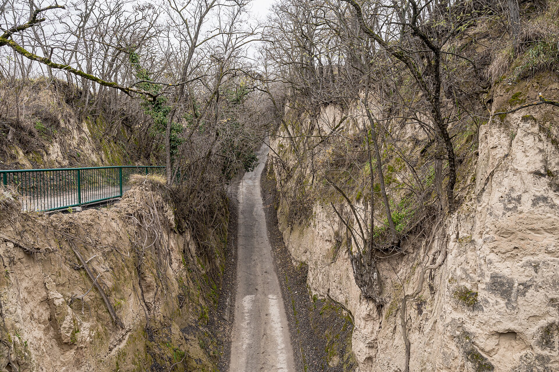 Hohlweg durch den Löss in den Weinbergen von Krems