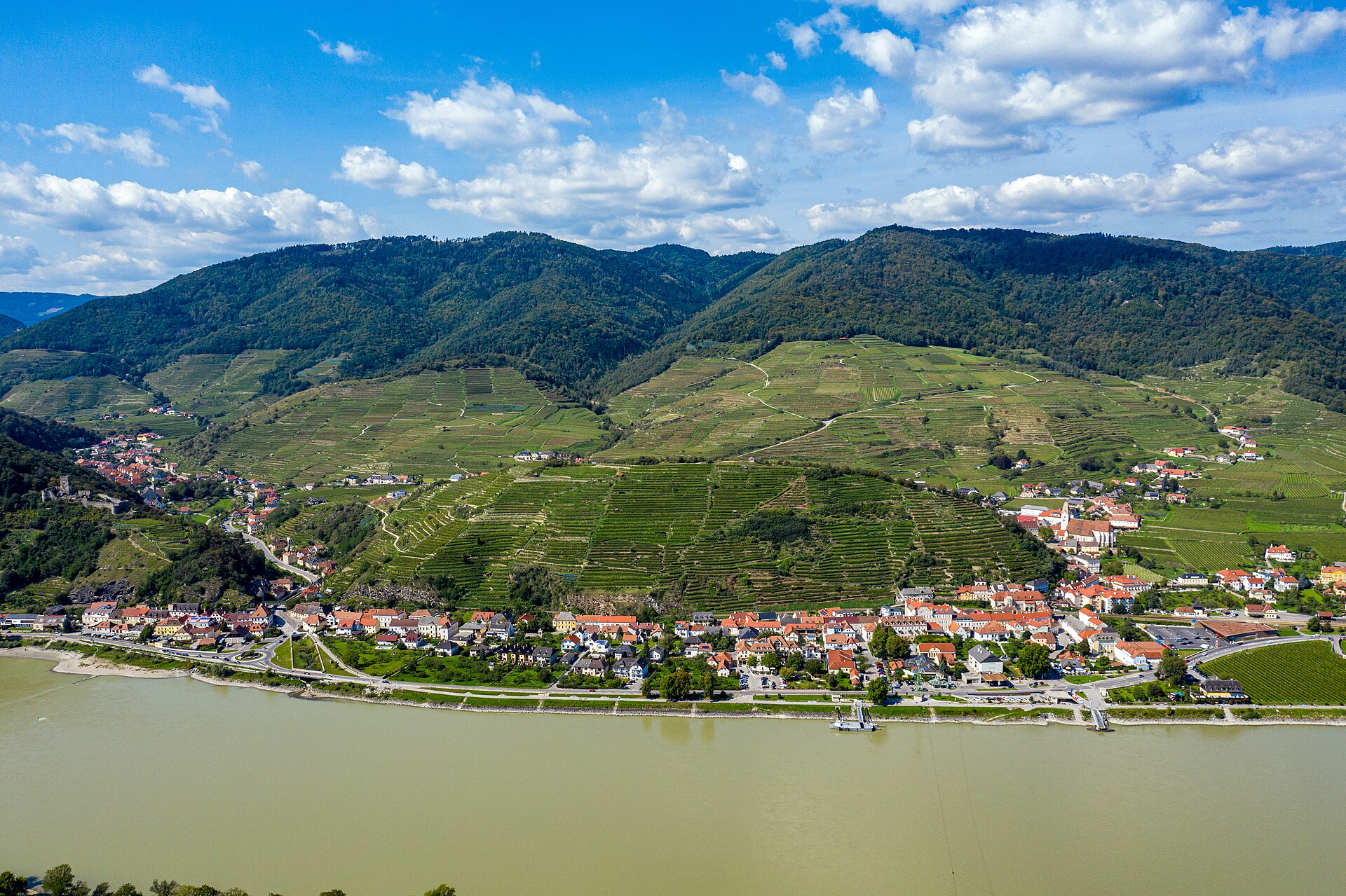 Weinberge über Spitz an der Donau